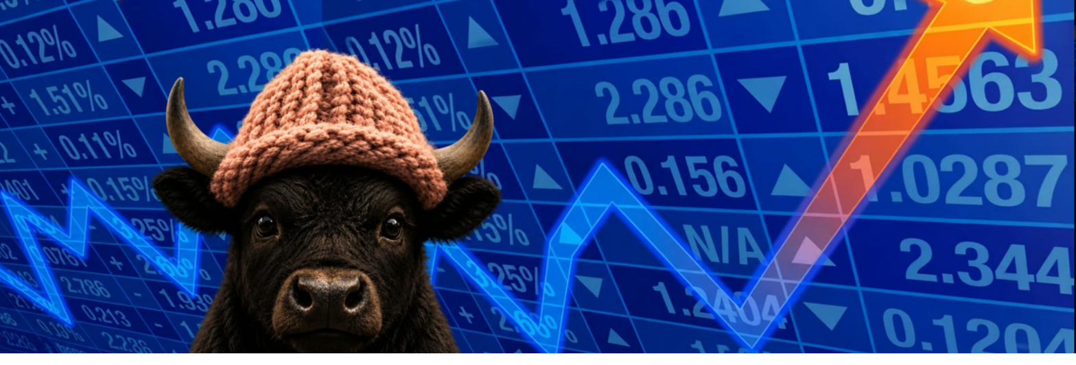 BIF the bull calf in his knitted hat, standing in front of a rising market chart